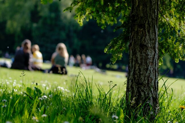 Bilden visar en picknick. Muminmugg trädgårdsfest - Picknick med muminmuggar är enkla att ta med på din picknick.